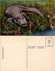 Alligator, Florida (26046