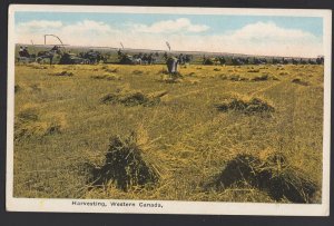 Western Canada - Harvesting Grain - Horses Reapers  Pub by Valentine ~ WB