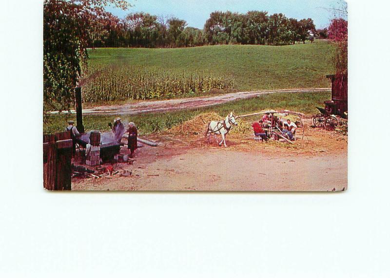 Postcard Frontier City Irish Hills Michigan Mule Corn Amish Arizona # 4159A