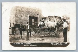 EXAGGERATED ILLINOIS CABBAGE ANTIQUE REAL PHOTO POSTCARD RPPC collage MONTAGE