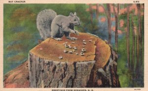 Vintage Postcard 1948 Nut Cracker Gray Greetings From Hennikers New Hampshire NH