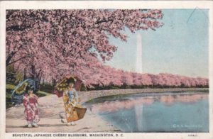 Washington D C Washington Monument and Cherry Blossoms Curteich