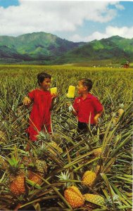 Children Eating Fresh Pineapple Del Monte Pineapple Oahu Hawaii