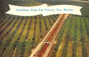 Greetings from Las Cruces Greetings From, New Mexico NM