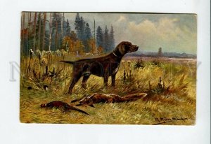 3156993 HUNT Dead FOX Pheasant & POINTER by MULLER Vintage PC