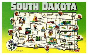 Postcard SD South Dakota Map card with State Flower