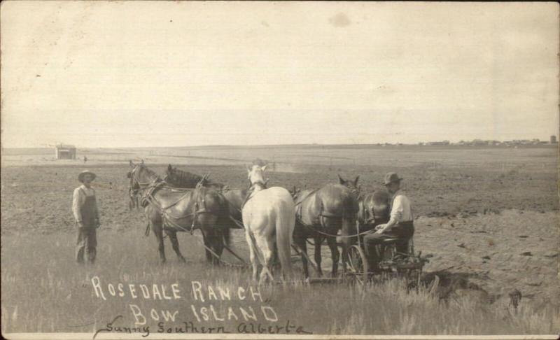 Bow Island Alberta Farming Plowing Horse Team c1905 Real Photo Postcard