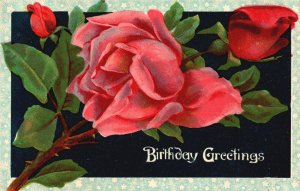 Vintage Postcard 1910's Birthday Greetings Large Print Red Roses Remembrance