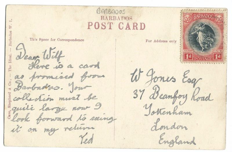 Barbados; Part of Queens Park, Showing Lake PPC, 1919, By Cave Shepherd