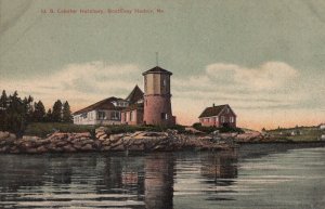 Postcard US Lobster Hatchery Boothbay Harbor ME