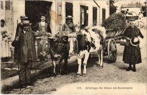 CPA Folklore Attelage de Char en Auvergne (1274307)