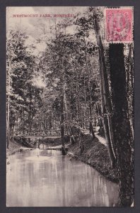 Vintage Postcard CANADA Montreal Westmount Park