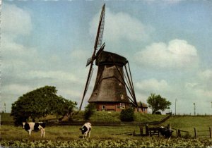 Netherlands Aalsmeer Flower Centre Of Europe Windmill