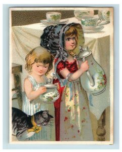 1880's Dwinell Hayward Royal Java Coffee Children Cat Dog Lot Of 5 P193 