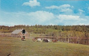 Canada Cariboo Ranch Williams Lake British Columbia Alberta