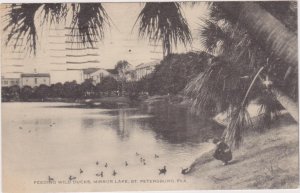 ST PETERSBURG , Florida, PU-1943 ; Feeding Wild Ducks, Mirror Lake