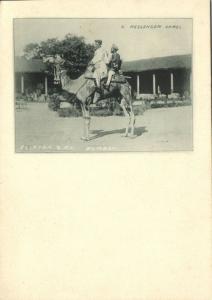 india, Messenger Camel (1899) Clifton & Co. Court Card