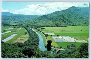 Kauai Hawaii Postcard Hanalei Valley Island Staple Exterior 1960 Vintage Antique