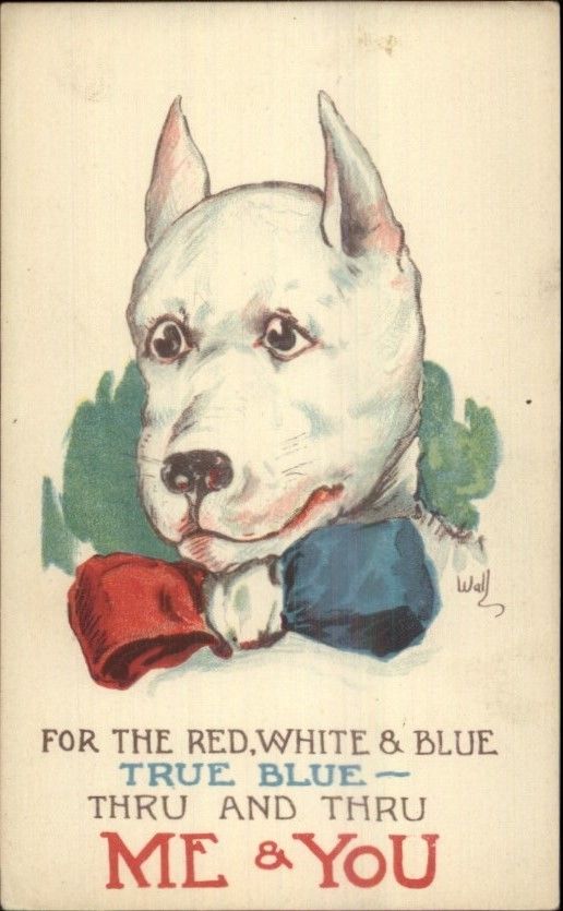 WW1 American patriotic postcard 'Me and You' with pit bull dog WW1 American patriotic postcard 'Me and You' with pit bull dog