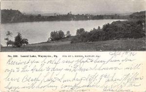 Laurel Lake Pennsylvania Scenic Waterfront View Antique Postcard K32508 