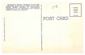 POSTCARD SCENE Marineland Florida FL AQ5689