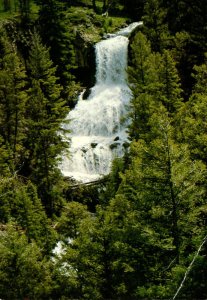 Yellowstone National Park Udine Fall Near Tower Junction