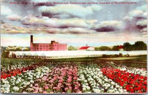 Postcard advert IL Rockford - Buckbee's Seed Warehouse Greehouse Trial Gardens