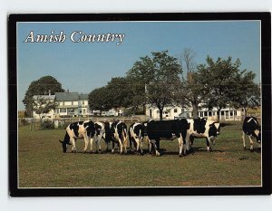 Postcard Amish Country, Pennsylvania