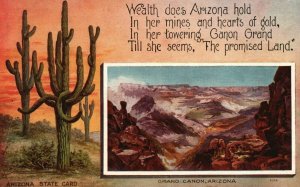 Vintage Postcard 1910's View of Grand Canon Arizona AZ Giant Cactus Cacti