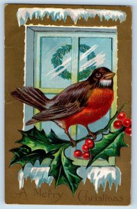 Christmas Postcard Bird And Holly Berries Winter Embossed Finley Park IL 1908
