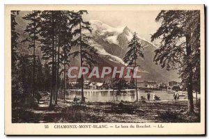 Old Postcard Chamonix Bois du Bouchet