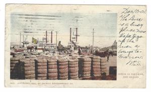 Cotton on the Levee, New Orleans. 1901 Private Mailing Card Detroit Photographic