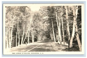 Vintage Avenue Of Birches Shelburne NH Real Photo RPPC Postcard P165