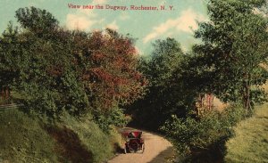 Vintage Postcard View Near The Dugway Forest Trees Roadway Rochester New York NY
