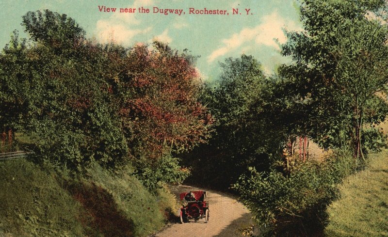 Vintage Postcard View Near The Dugway Forest Trees Roadway Rochester New York NY