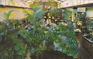 Garden Cafeteria Saint Petersburg Florida