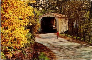 New Jersey Hunterdon County Green Sergeant's Covered Bridge