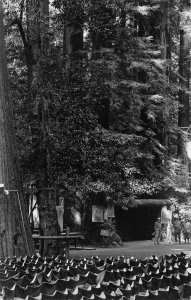 BOHEMIAN GROVE Monte Rio, California RPPC Sonoma County 1910s Photo Postcard