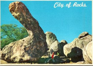 New Mexico City Of Rocks Famous Dinosaur Rock Between Deming and Silver City