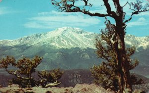 Postcard Pikes Peak From Rampart Range Road Mountain Pikes Peak Region Colorado