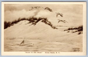 1940 BOUND for STILL WATER OCEAN BEACH NY FLYING GEESE ALBERTYPE POSTCARD