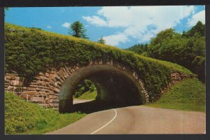 TN Great Smoky Mountains National Park The Loop Over On U S Highway 441 ~ Chrome