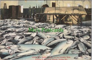 America Postcard - Salmon Industry on The Columbia River, Oregon RS30386