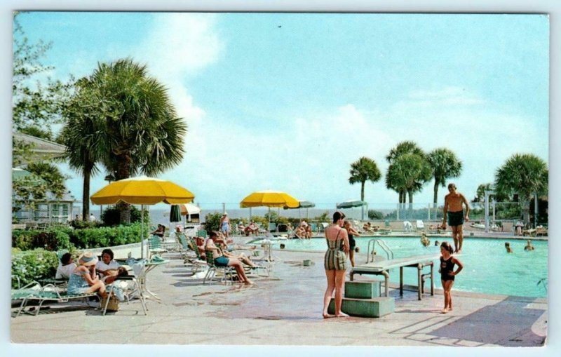 SEA ISLAND, Georgia GA ~ Swimming Pool THE BEACH CLUB c1960s Roadside Postcard