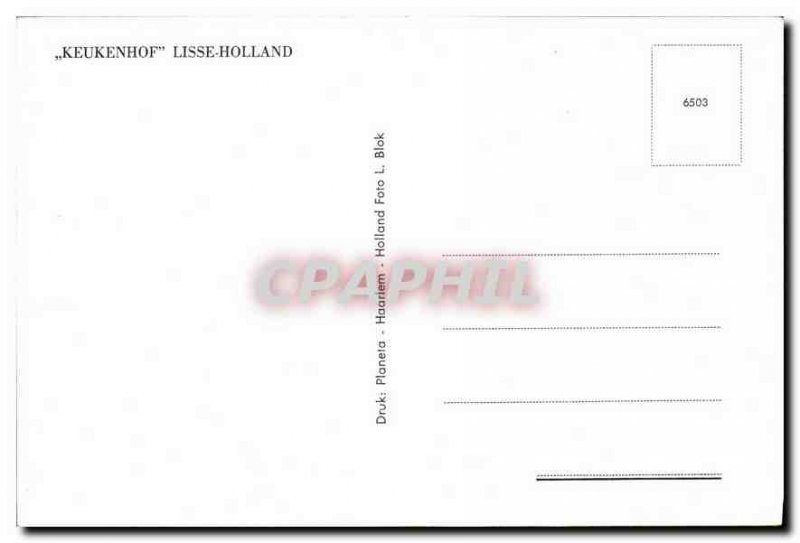 Modern Postcard Keukenhof Lisse Holland