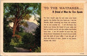 Dual View Tree Mountain Friend Man Speaks Linen Postcard UNP VTG Unused Vintage 