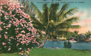 Vintage Postcard Oleanders And Palm Shaded Lagoon In Florida Hartman Litho Sales