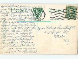 Divided-Back BOTANICAL SCENE Utica New York NY HJ7359