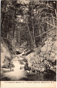 Postcard NJ Montville Picturesque Morris County Towaco Cascade