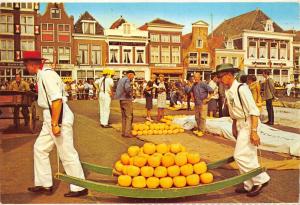 BF1052 the well known cheese markety alkmaar  Netherlands